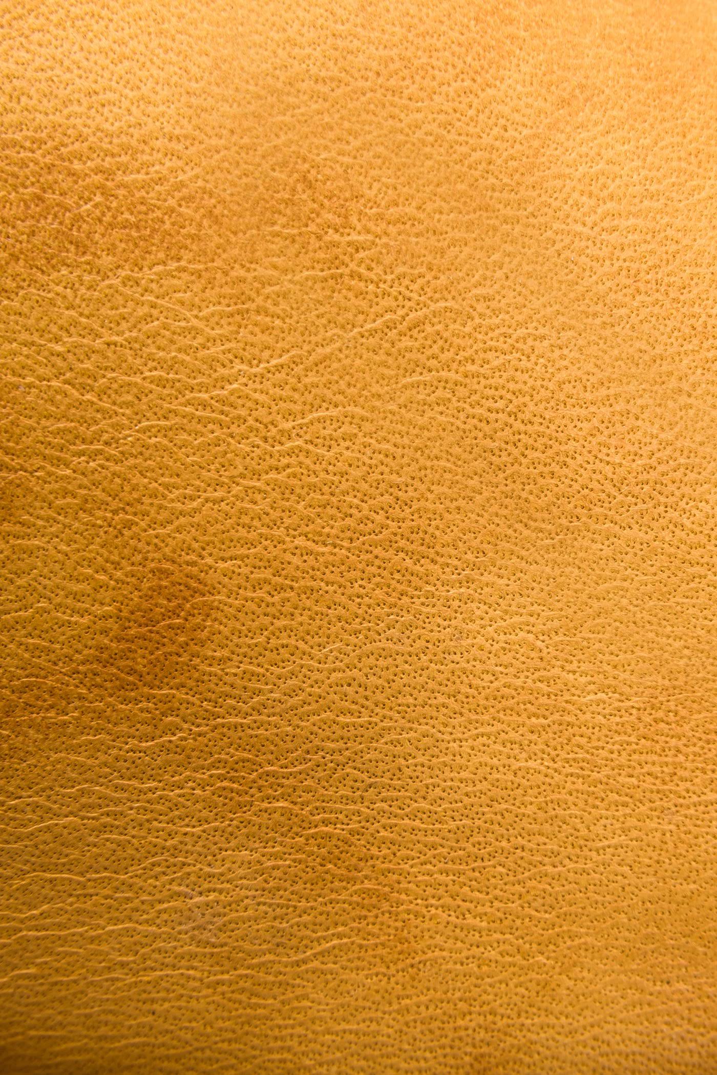 Frye Women's Campus 14L Banana / 10