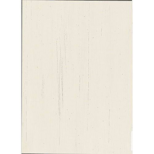 Bush Furniture Salinas Computer Desk with Hutch in Antique White