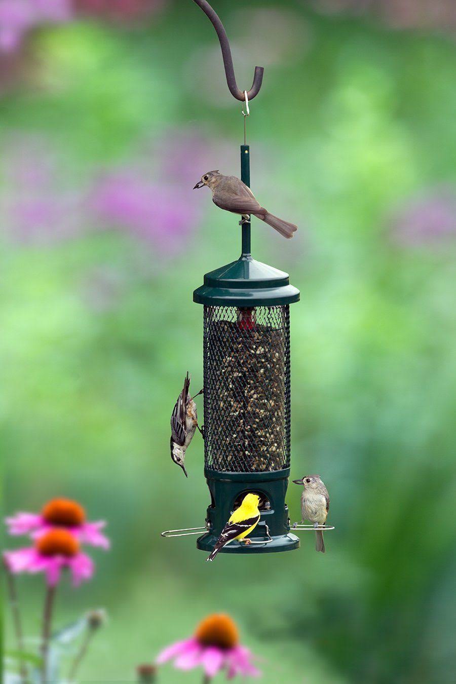 Squirrel Buster Legacy Bird Feeder