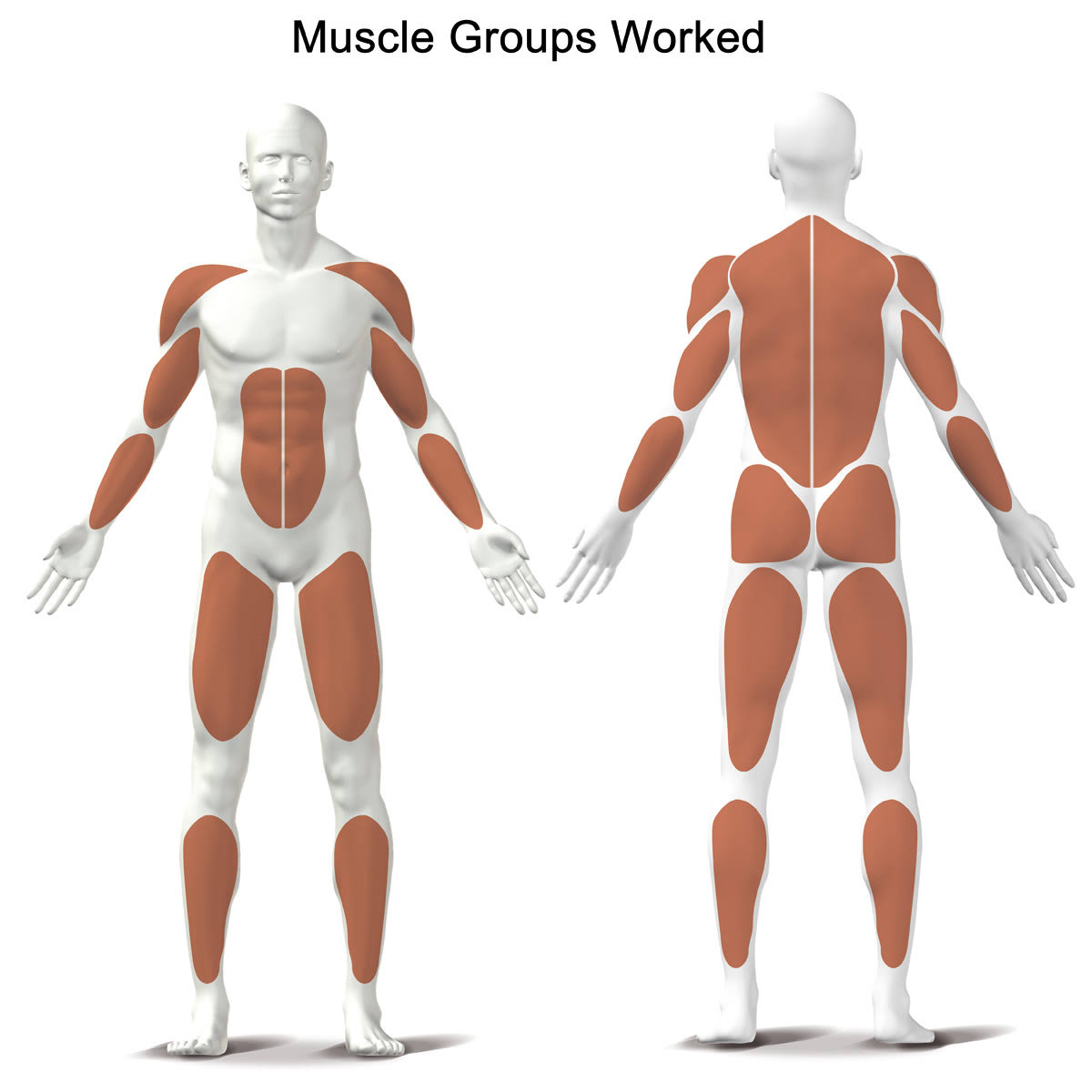 KETTLER; Kadett Rowing Machine