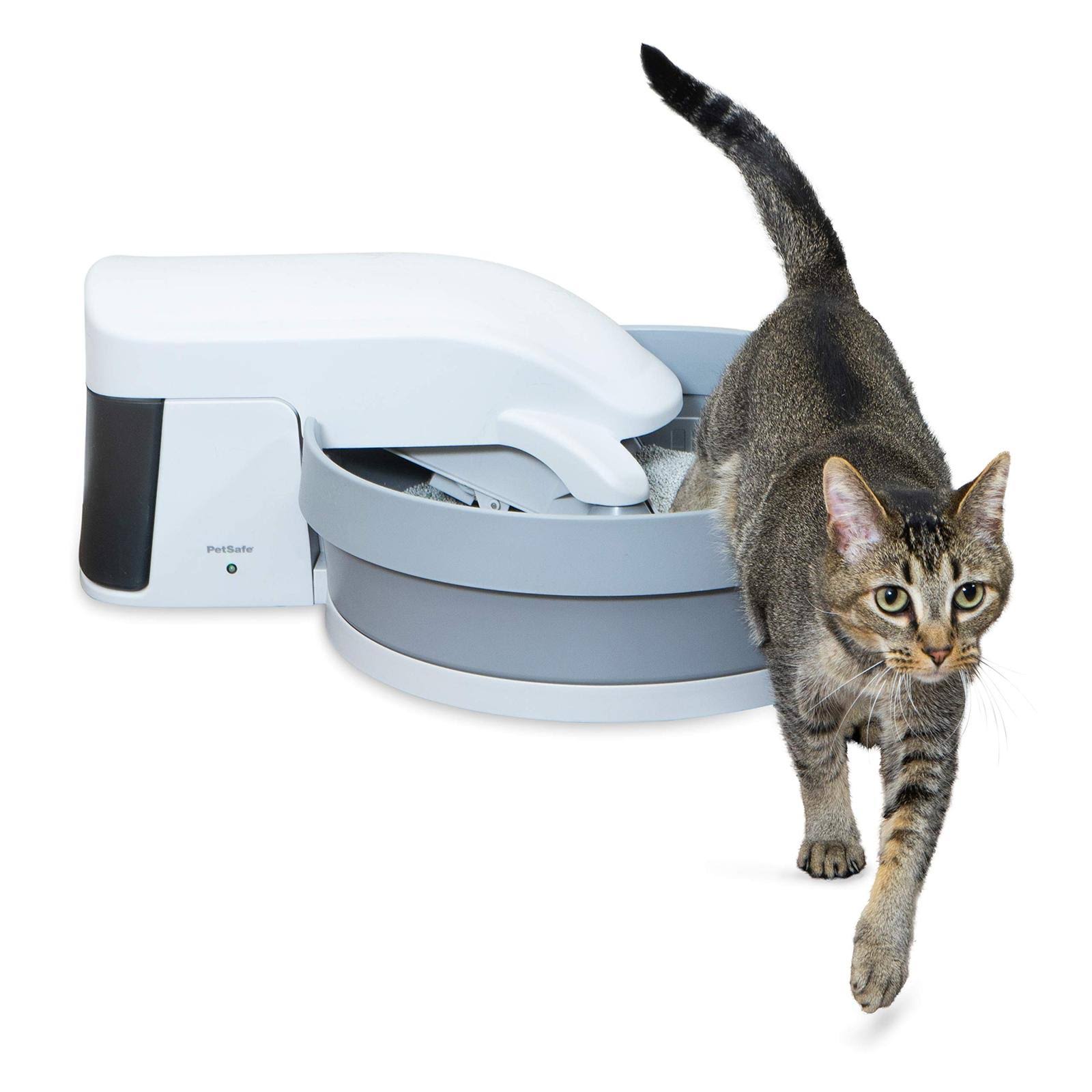 PetSafe Simply Clean Self-Cleaning Cat Litter Box, Automatic Litter