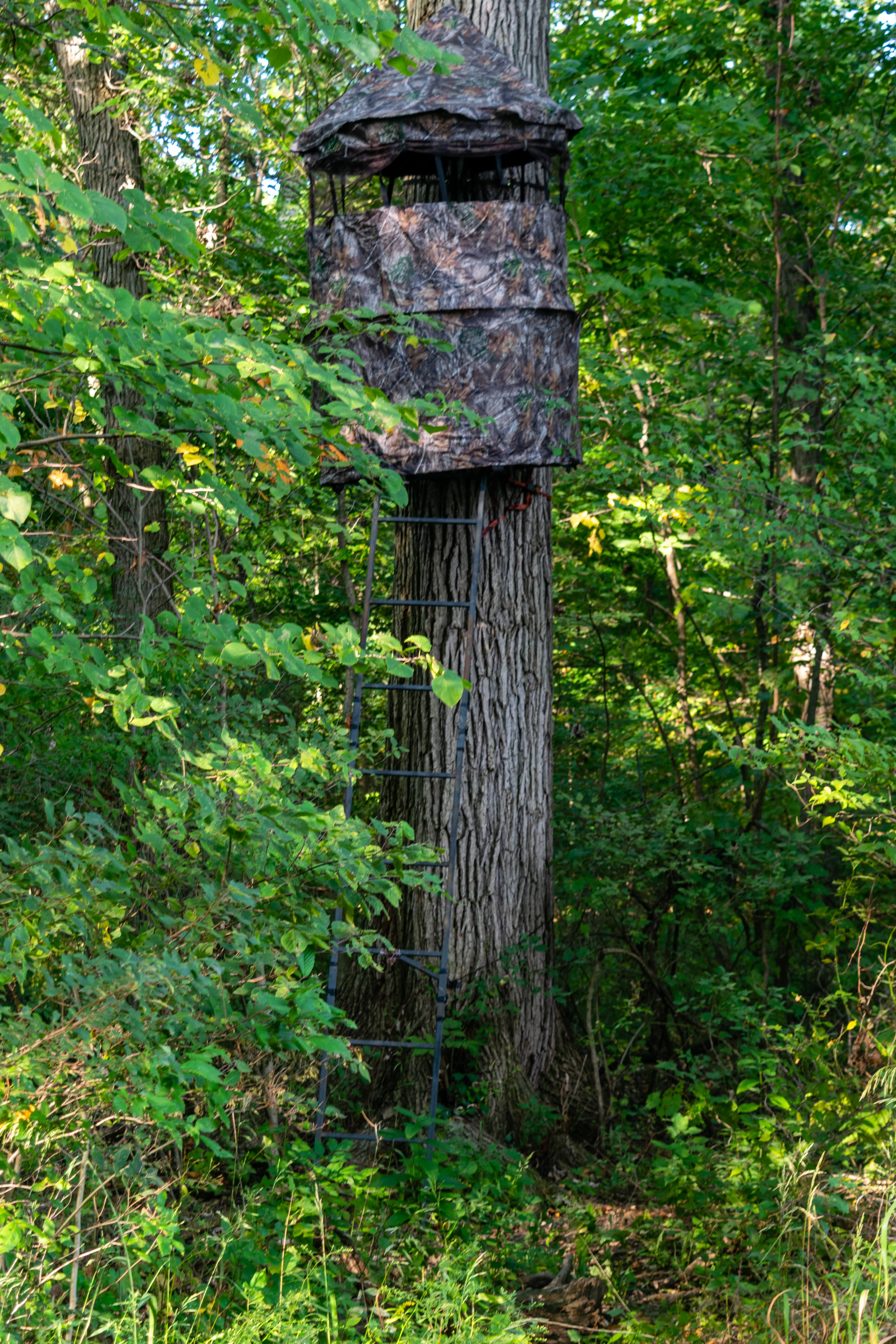 Chameleon Tree Stand Gun Blind by Cooper Hunting Same Day Shipping !