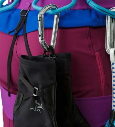 Arc&teryx Alpha SL Glove Black