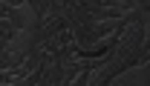 Robert Graham Mirandola Dragon Satchel - Black - One Size