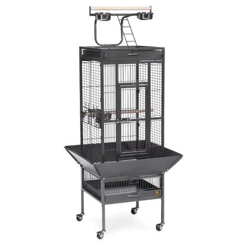 Prevue Pet Products Select Signature Wrought Iron Bird Cage, Black