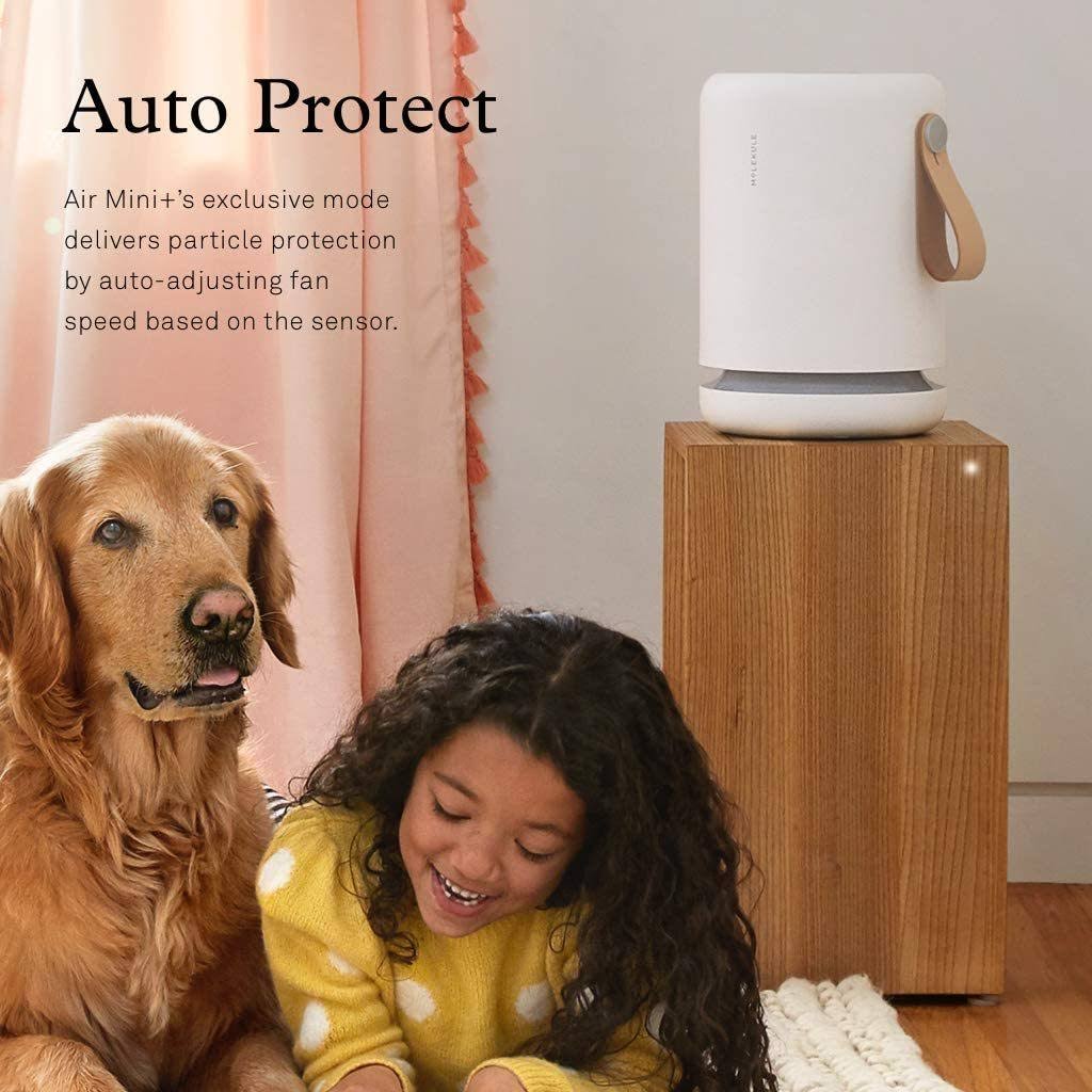 Molekule Air Mini+ Air Purifier with Particle Sensor and Peco Technology - White