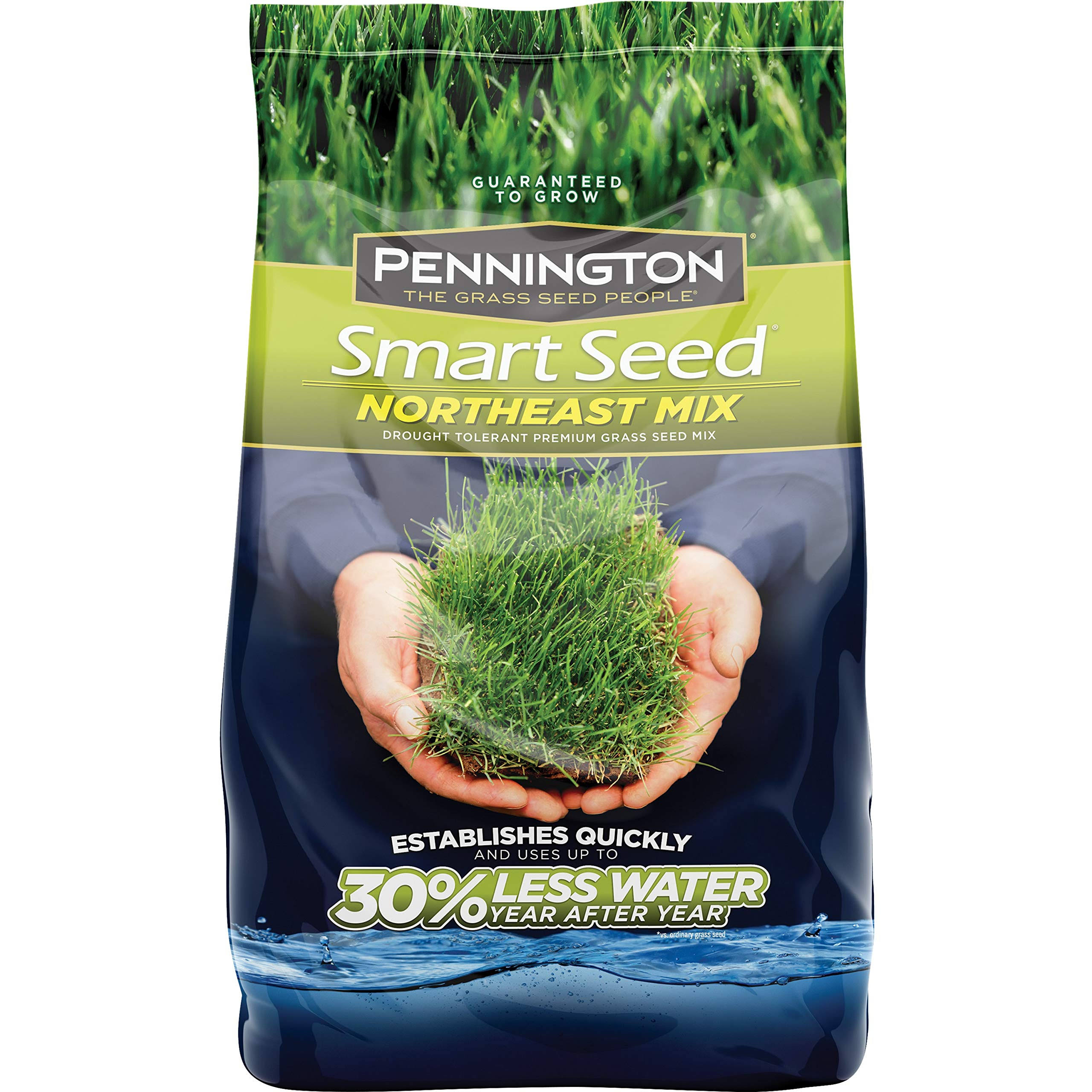 Pennington 100526640 Smart Seed Northeast Mix Grass Seed, 20 lb