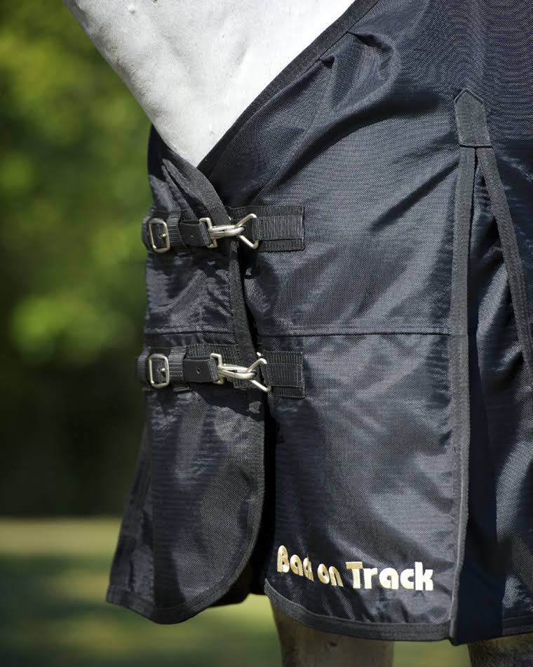 Back on Track Turnout Sheet