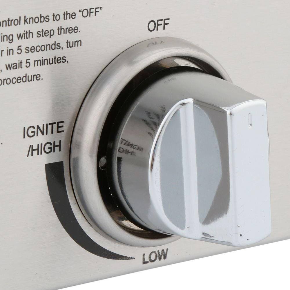 2-Burner Portable Propane GAS Table Top Grill in Stainless Steel