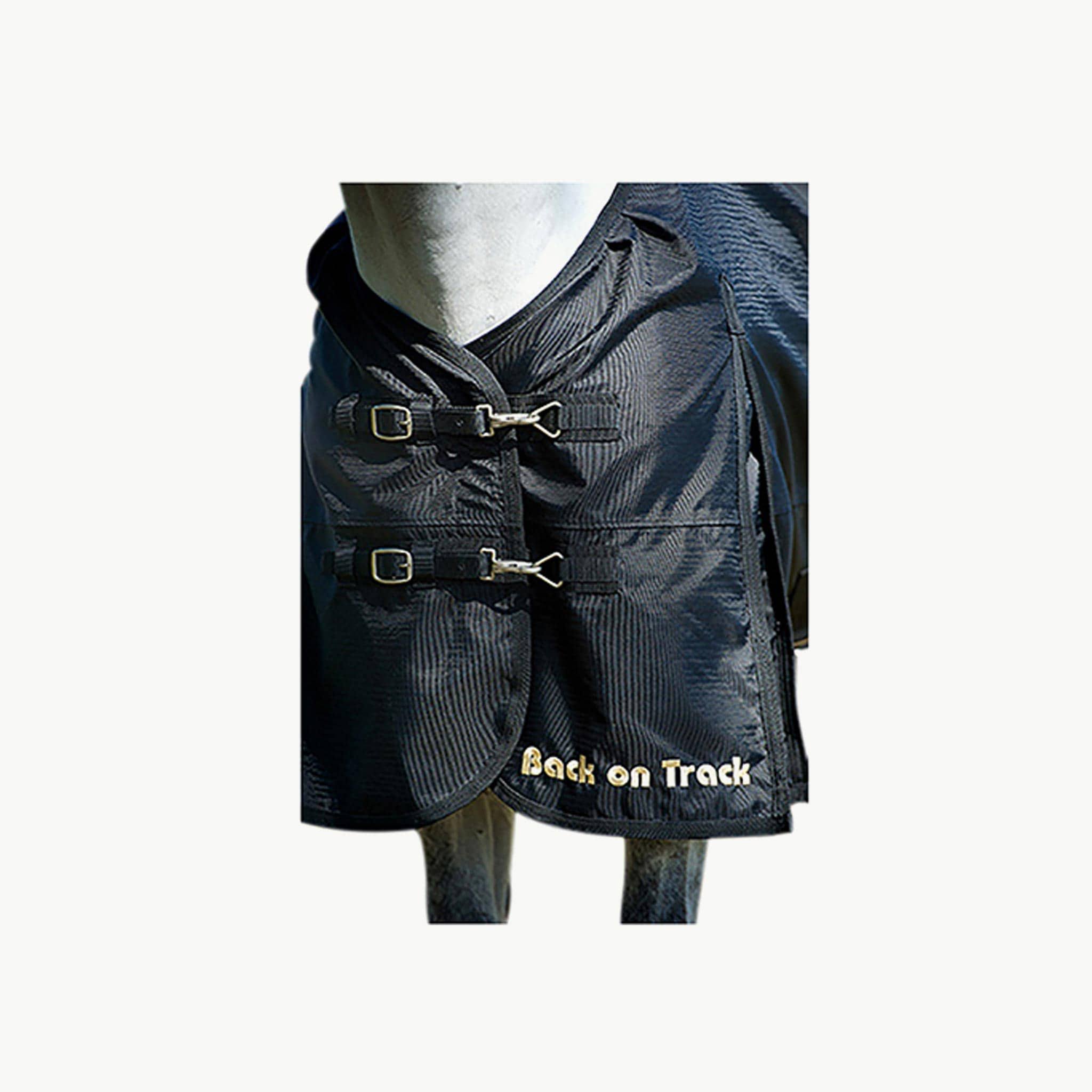 Back on Track Turnout Sheet