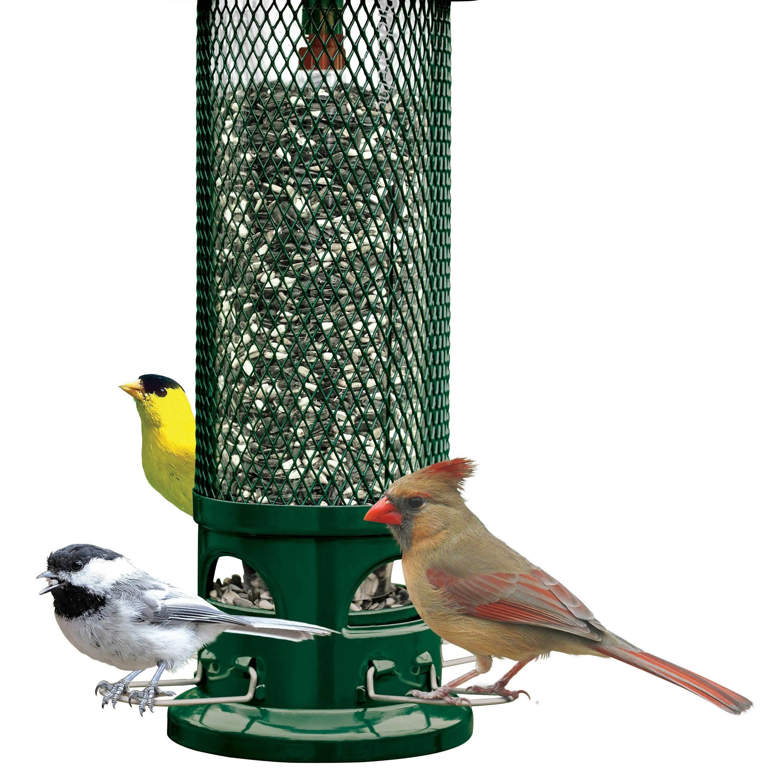 Squirrel Buster Legacy Bird Feeder
