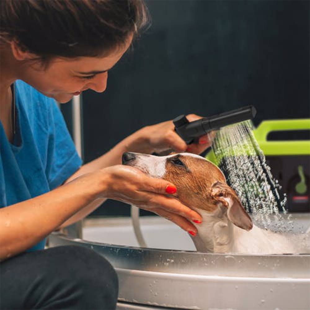 Sun Joe 24V iON+ Cordless Go-Anywhere Portable Sink/Shower Spray Washer Kit