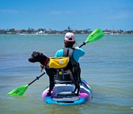 Perception Hi-Life Convertible SUP/Kayak Paddle - 3 Piece