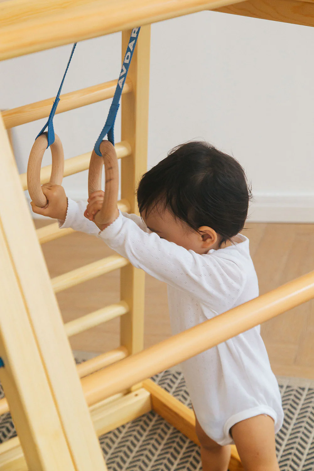 AVDARGYM  Rock Climber Set