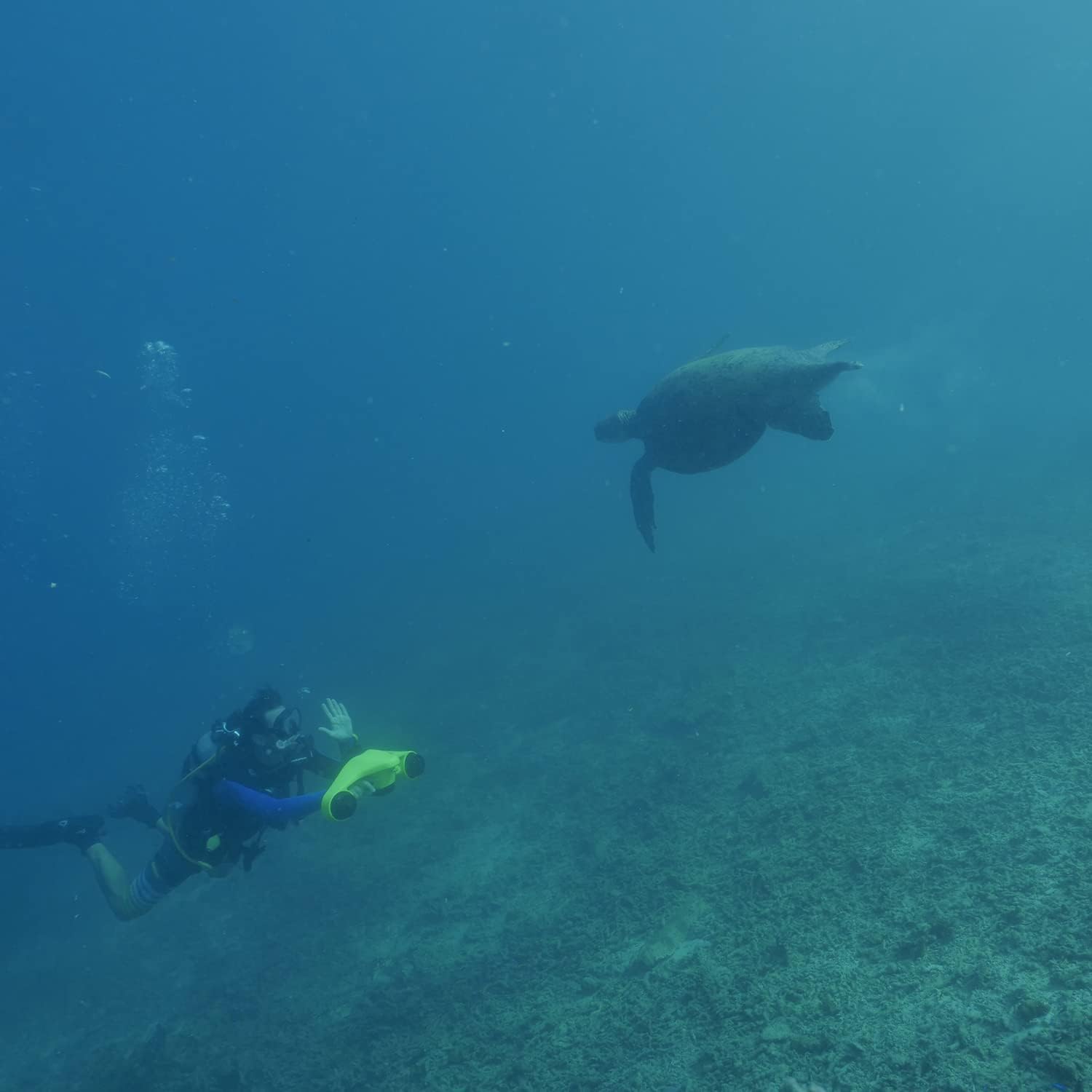 Asiwo Underwater Scooter with Action Camera Mount - Waterproof Dual Motor Sea Scooter for Diving, Swimming, Snorkeling