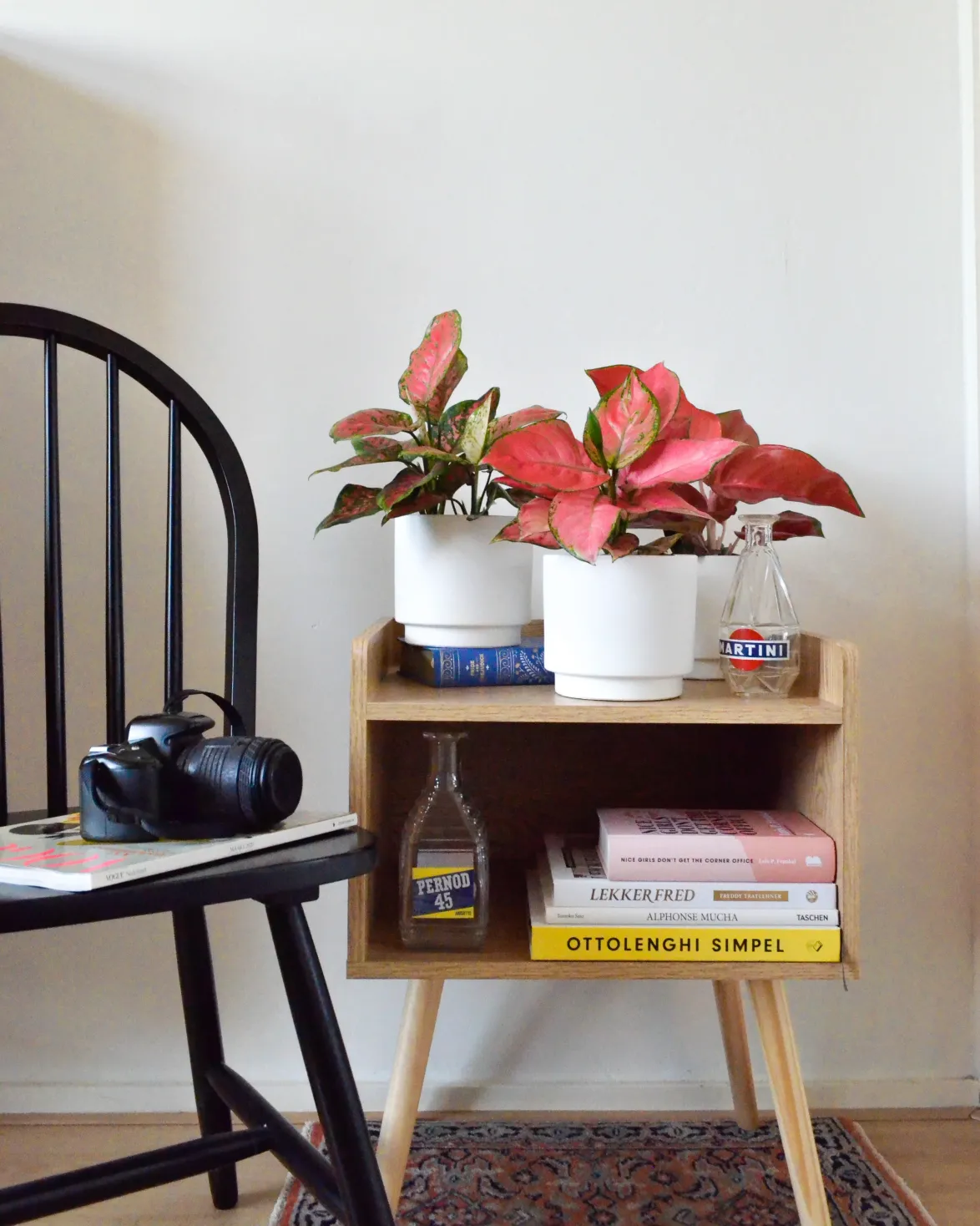 Aglaonema spotted star (S)