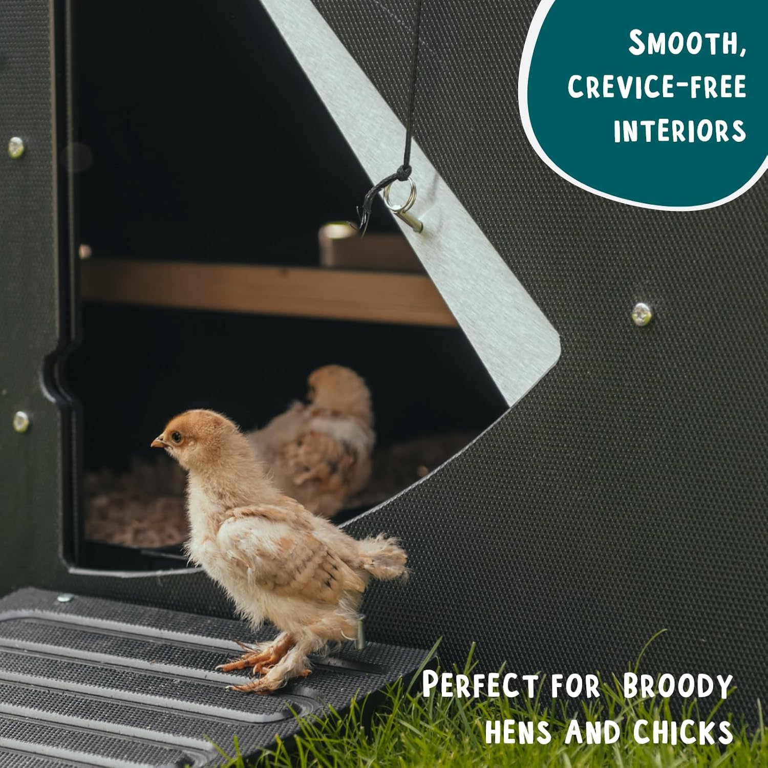 Mittlerer Boden Hühnerstall für 2-3 Hühner - Hühnerstall mit 25 Jahren Garantie für 5 Hühner oder 9 Zwerghühner | 2 abgerundete Sitzstangen zum Rasten | Erhöhter Hühnerstall