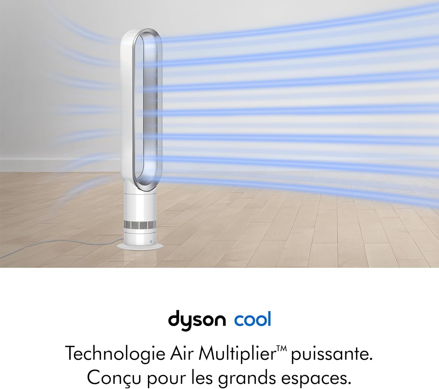 Dyson AM10 Air Humidifier White/Silver