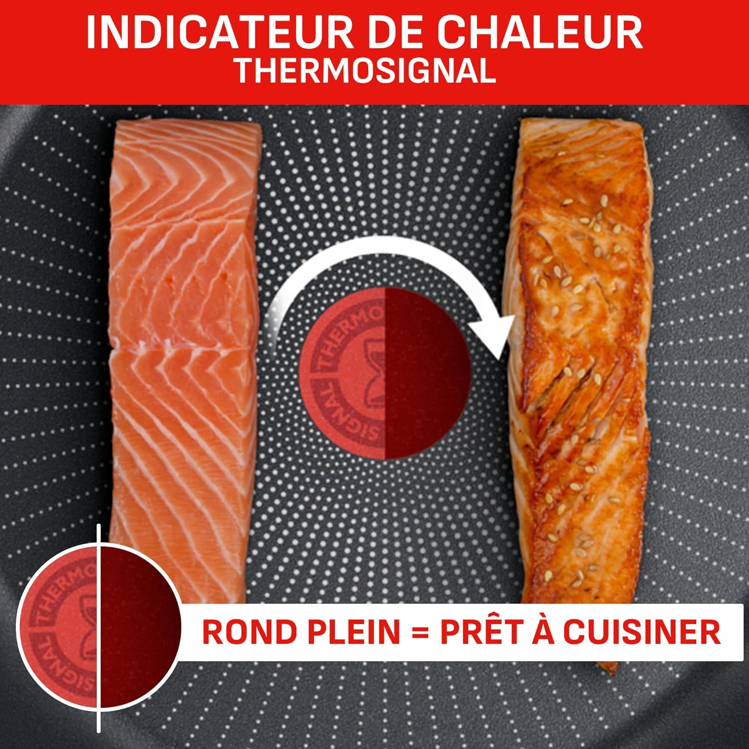 Tefal Ingenio Batterie de cuisine 20 pièces, Poêles, Casseroles, 2 poignées amovibles, Induction, Revêtement antiadhésif, Empilable, Compatible lave-vaisselle, Emotion L897SK04