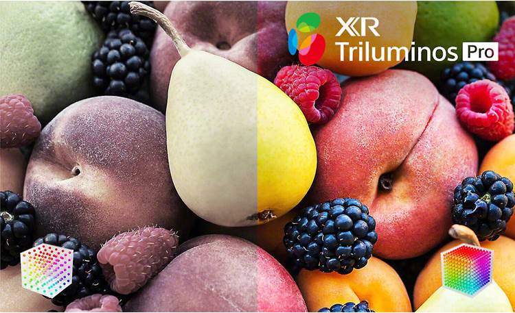 Sony BRAVIA XR98X90L X90L Smart LED 4K UHD TV with HDR (98)