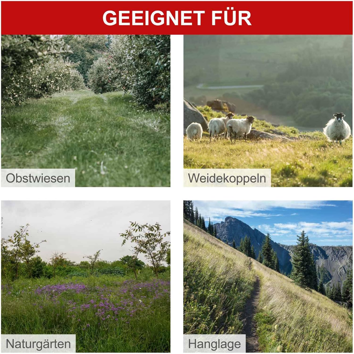 Scheppach Petrol Bar Mower BMS200-88 | 880 mm Cutting Width | Cutting Height 30-60 mm | 5.7 HP / 196 cc | for Lawns up to 3000 m² | Lawn Mower with Wheel Drive | High Grass Mower with Engine Oil