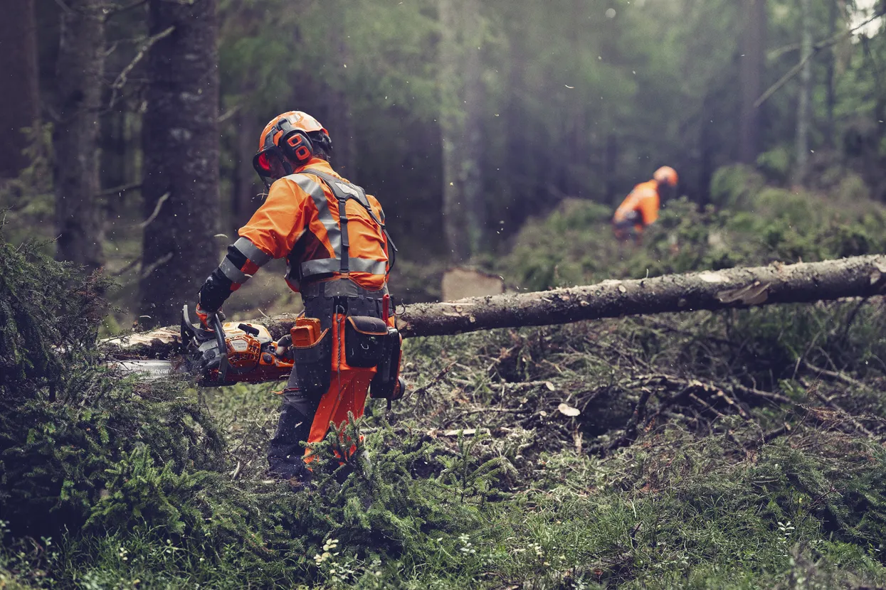 Husqvarna 564 XP® Fuel Inject