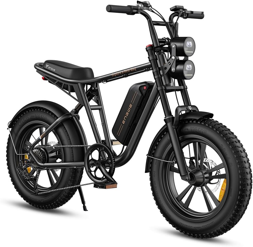 ENGWE E Bike Men's Electric Bicycle Ebike with One Battery/2 Batteries, E-Bike 20 x 4.0 Inch Fat Tyres, Ebike Men up to 75 km/150 km/90 km/170 km, Electric Bicycle 7-Speed, M20/M1
