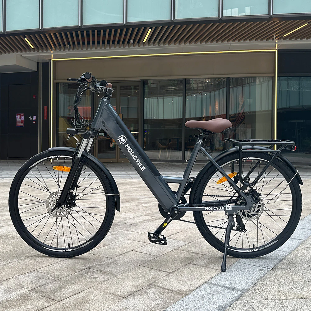 Molicycle R1 250W 26 E-bike Trekking Elektrofahrrad 14,5Ah