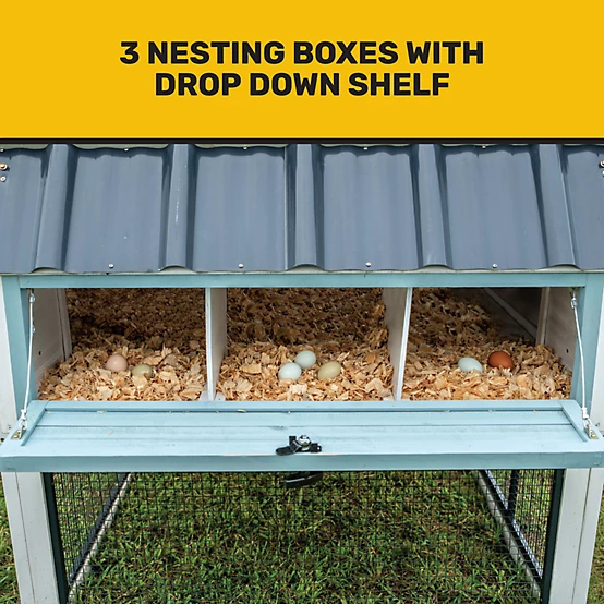 Producer's Pride Villa Chicken Coop, 12 Chicken Capacity