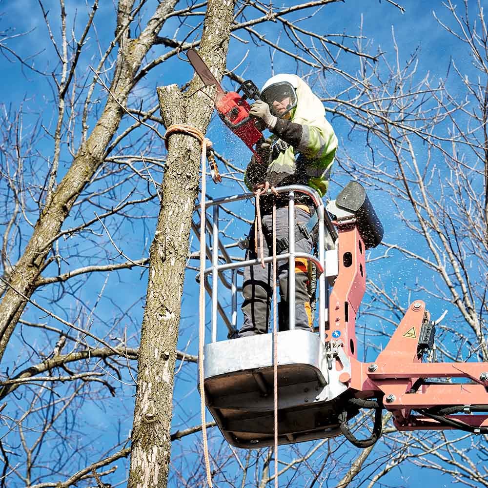 MILWAUKEE 18V FUEL™ 406mm Chainsaw Skin M18FCHS-0