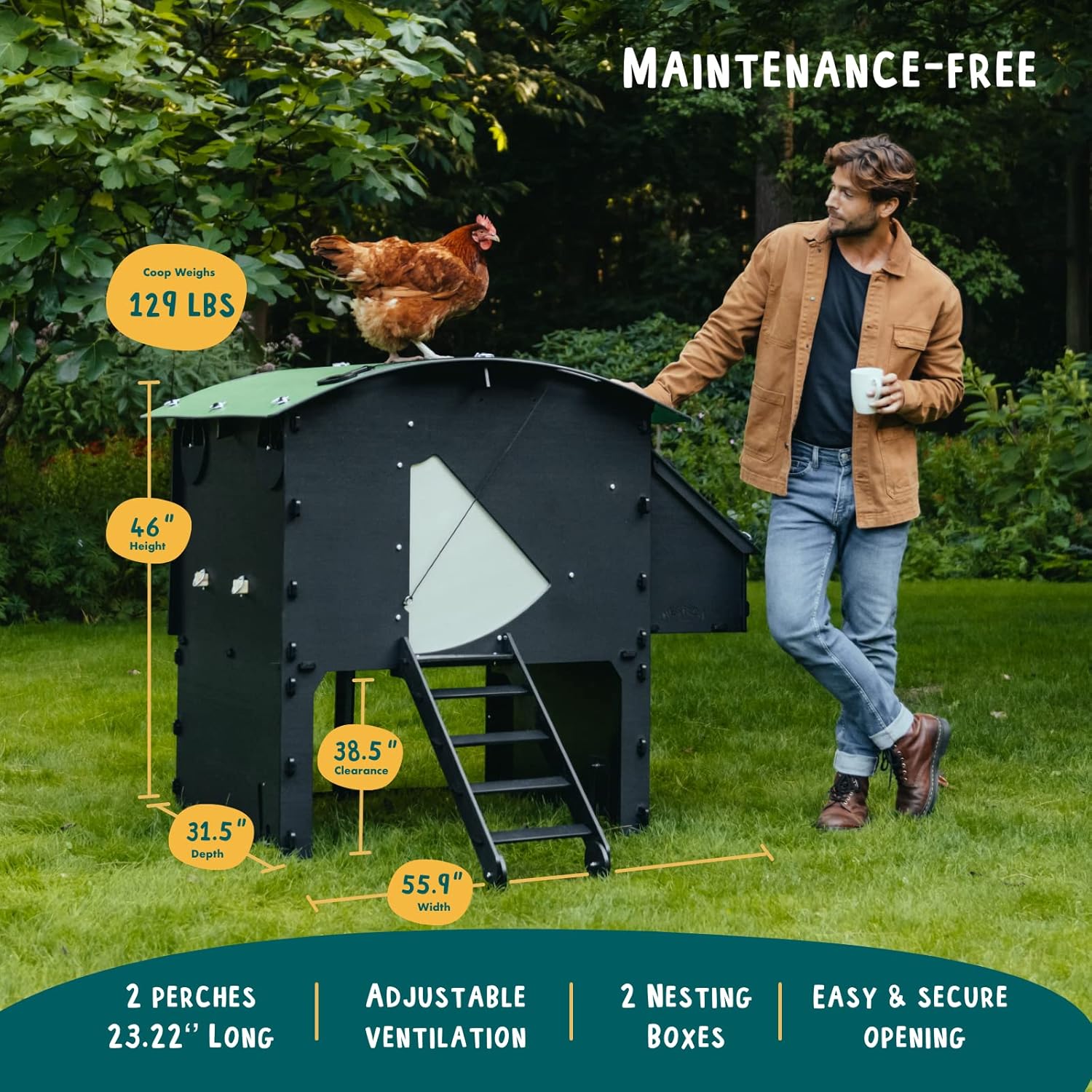 Kunststoff Hühnerstall mit 25 Jahre Garantie - Großer Boden Hühnerstall für 4, 6, 8 Hühner oder 15 Zwerghühner