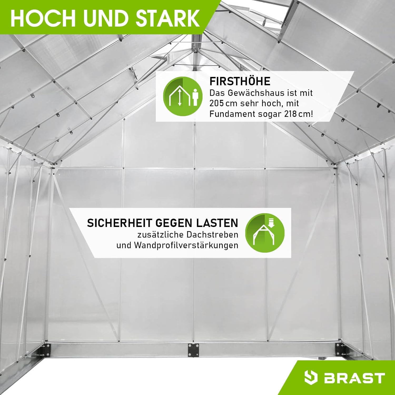 RAST Aluminium Greenhouse with Base 310 x 250 x 205 cm, TÜV Tested, 6 mm Hollow Chamber Panels, Rustproof/Weatherproof/Temperature-Resistant