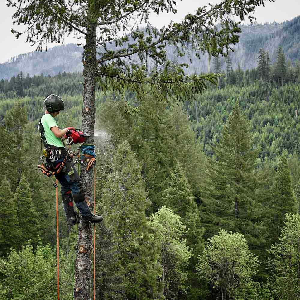 MILWAUKEE 18V FUEL™ 356mm ( 14") Top Handle Chainsaw Skin M18FTCHS140