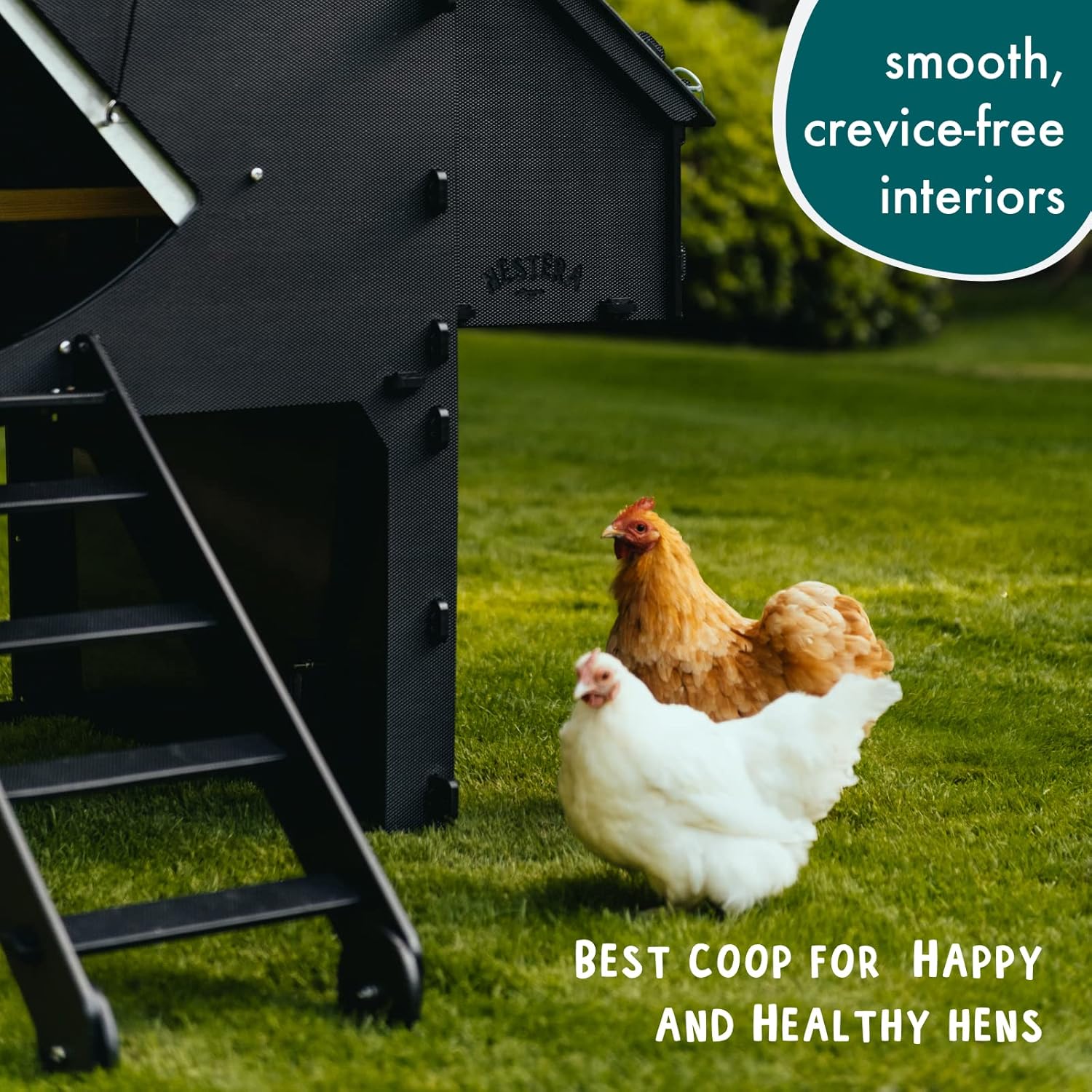 Kunststoff Hühnerstall mit 25 Jahre Garantie - Großer Boden Hühnerstall für 4, 6, 8 Hühner oder 15 Zwerghühner