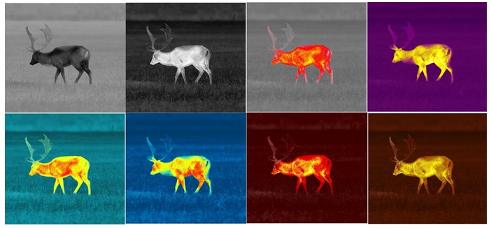 Lornetki termowizyjine ZElSS Merger LRF XL50