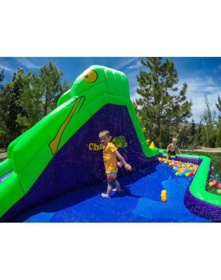 Chameleon Water Park