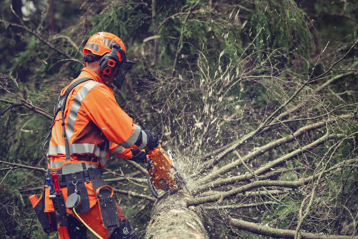 Husqvarna 564 XP® Fuel Inject