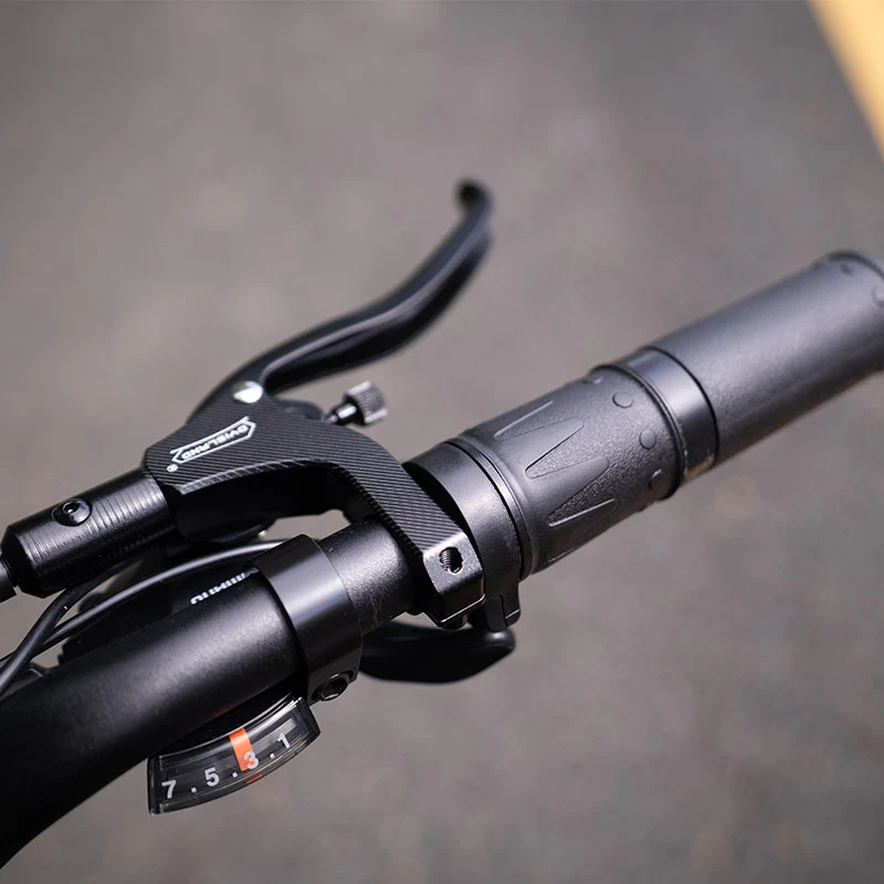 Lankeleisi RX800 Plus 1000W 20