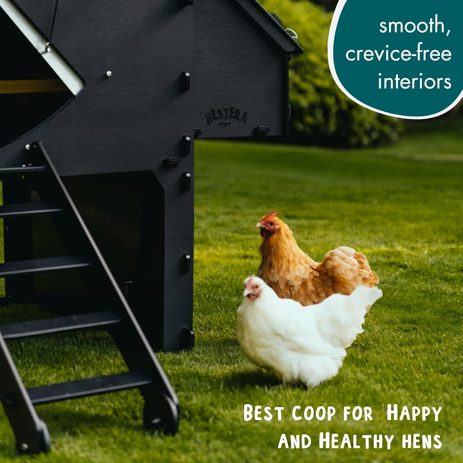 Mittlerer erhöhter Hühnerstall 2-3 Hühner - 25 Jahre Hühnerstall für 5 Hühner oder 9 Zwerghühner | 2 runde Sitzstangen für Hühner | erhöhter Hühnerstall für Hühner mit 2 Nistkästen & Leiter