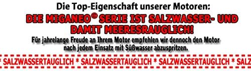 Aussenborder Motor 62 lbs 2006 lb Thrust - 696 W with Battery and LED 12 V 28,2kp salzwassertauglich