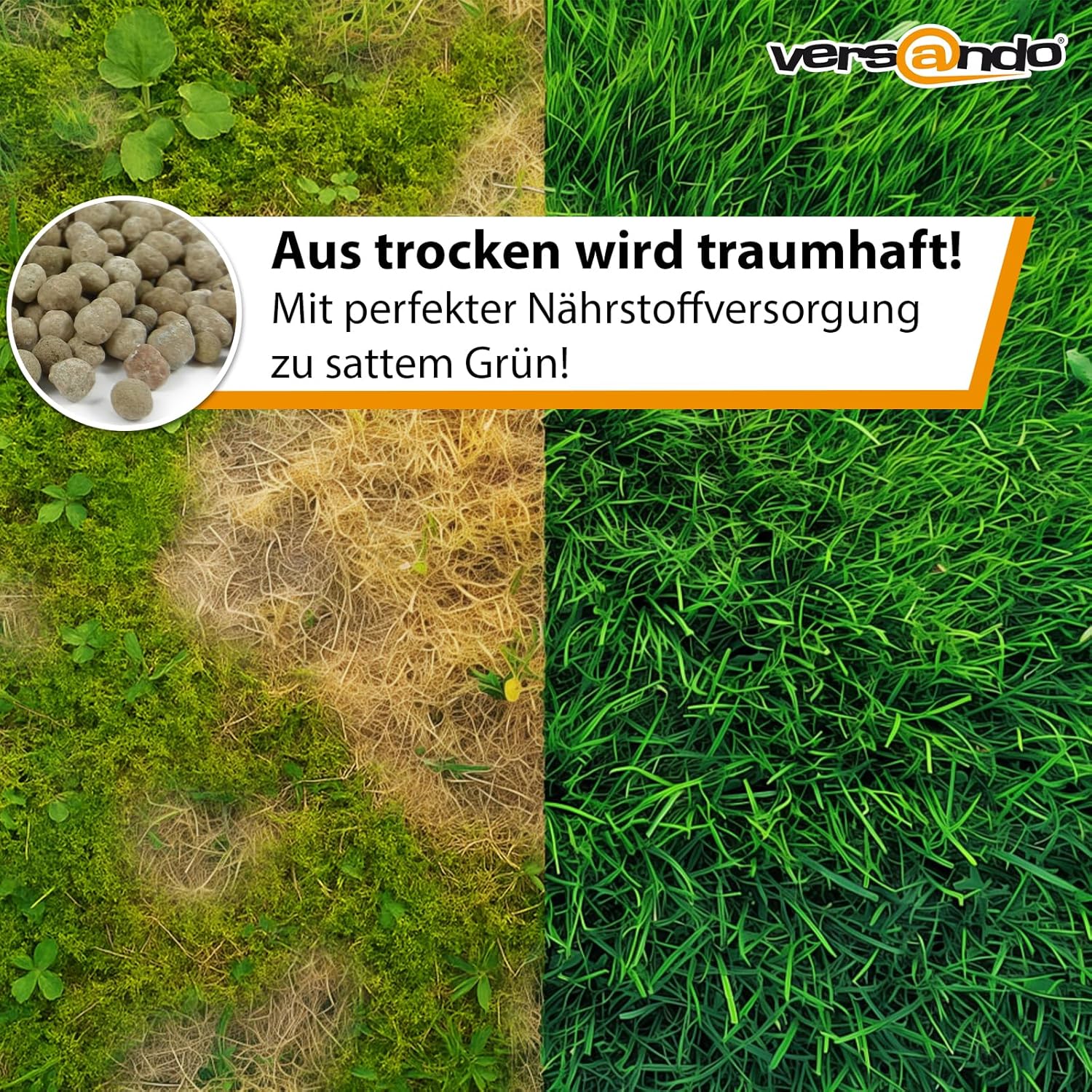 versando Lawn Fertiliser, 510 kg, Spring, Up to 2.55 Hectares: Displaces Moss and Weeds for Healthy, Lush Green Lawn, Spring Fertiliser with Long-Term Effects, 1/2 Pallet, 51 x 10 kg, Premium Quality