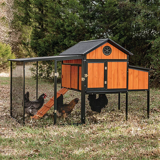 Producer's Pride Sentinel Chicken Coop, 6 Chicken Capacity