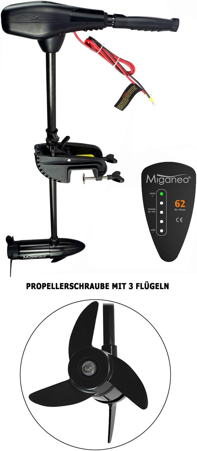 Aussenborder Motor 62 lbs 2006 lb Thrust - 696 W with Battery and LED 12 V 28,2kp salzwassertauglich