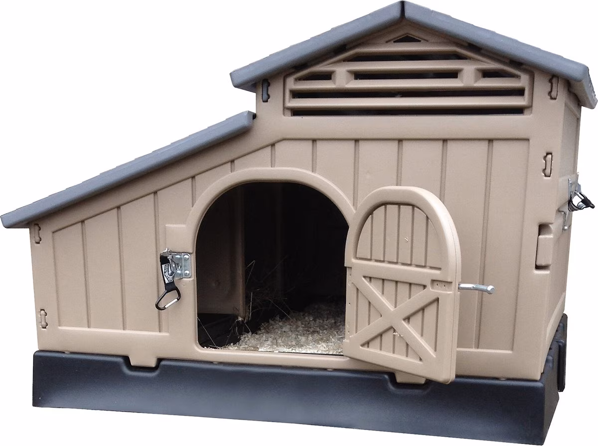 Snap Lock Snap Together Chicken Coop, Regular