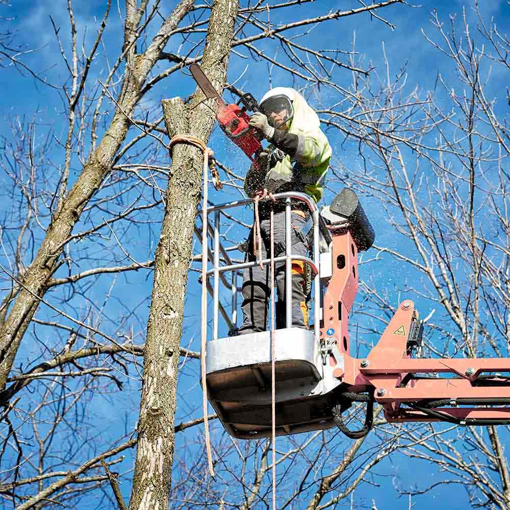 MILWAUKEE 18V FUEL™ 356mm Chainsaw Skin M18FCHS140