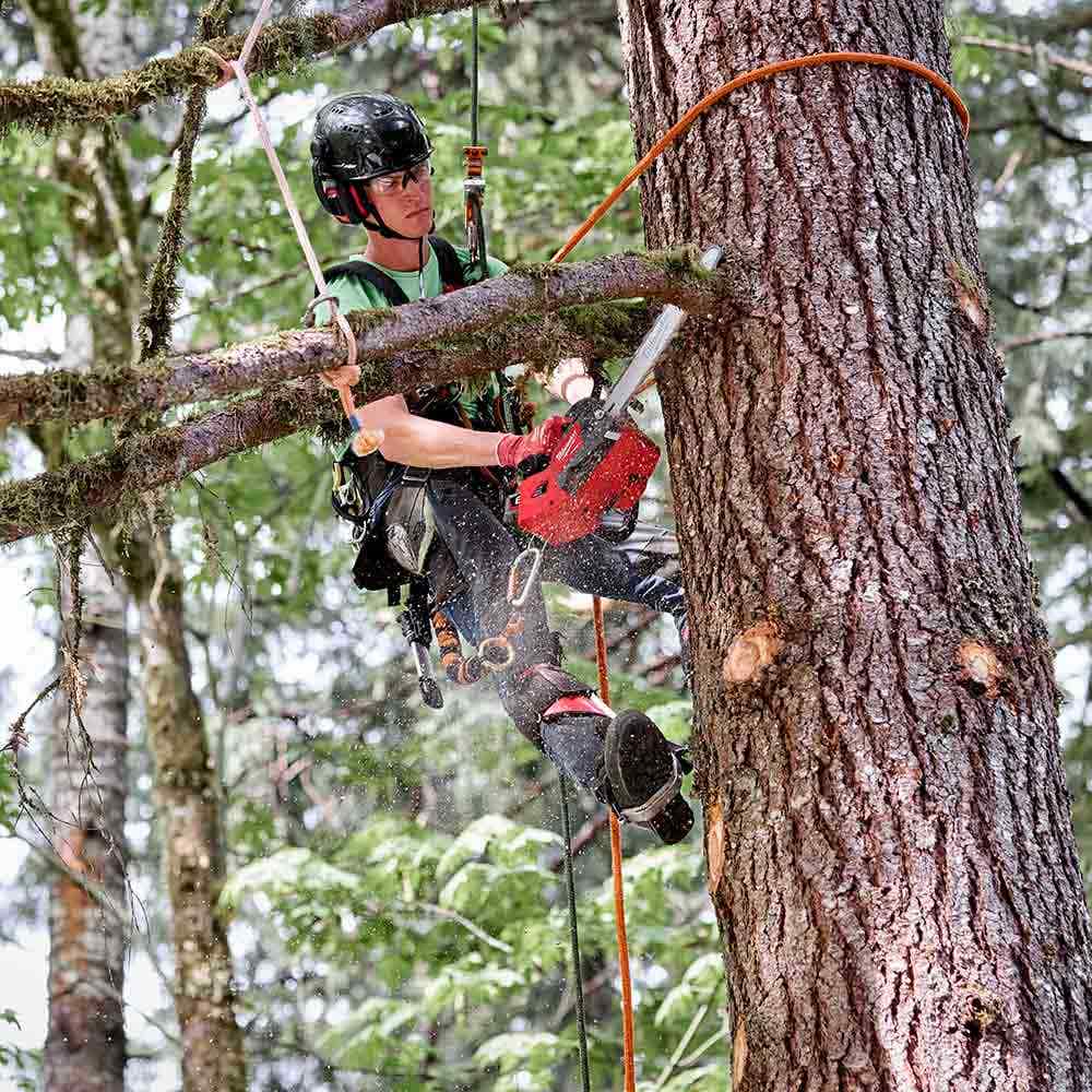 MILWAUKEE 18V FUEL™ 305mm (12") Top Handle Chainsaw Skin M18FTCHS120