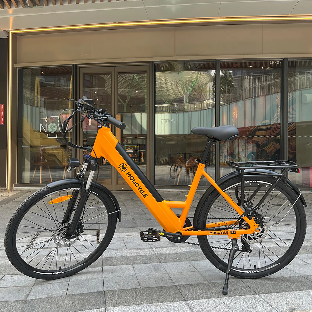 Molicycle R1 250W 26 E-bike Trekking Elektrofahrrad 14,5Ah