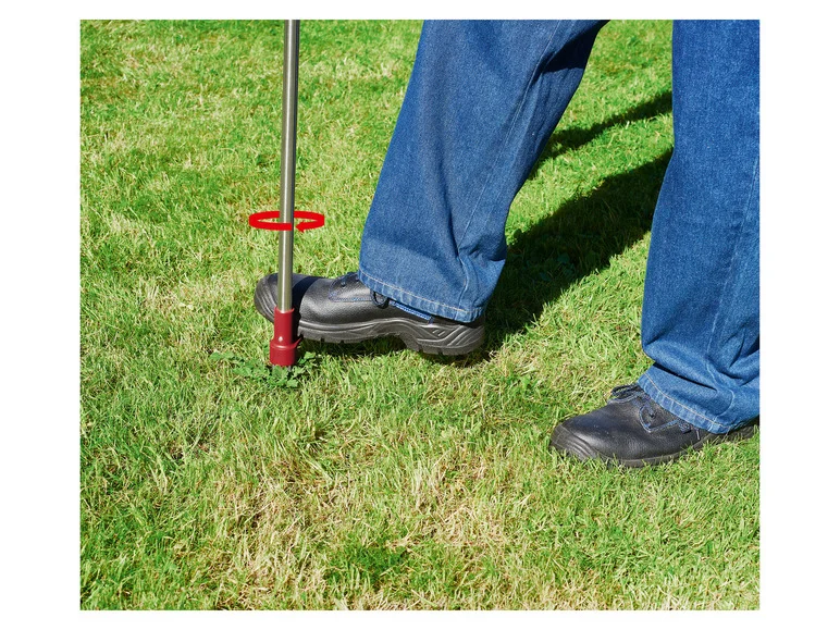 PARKSIDE Set de brosses à mauvaises herbes ou désherbeur à main