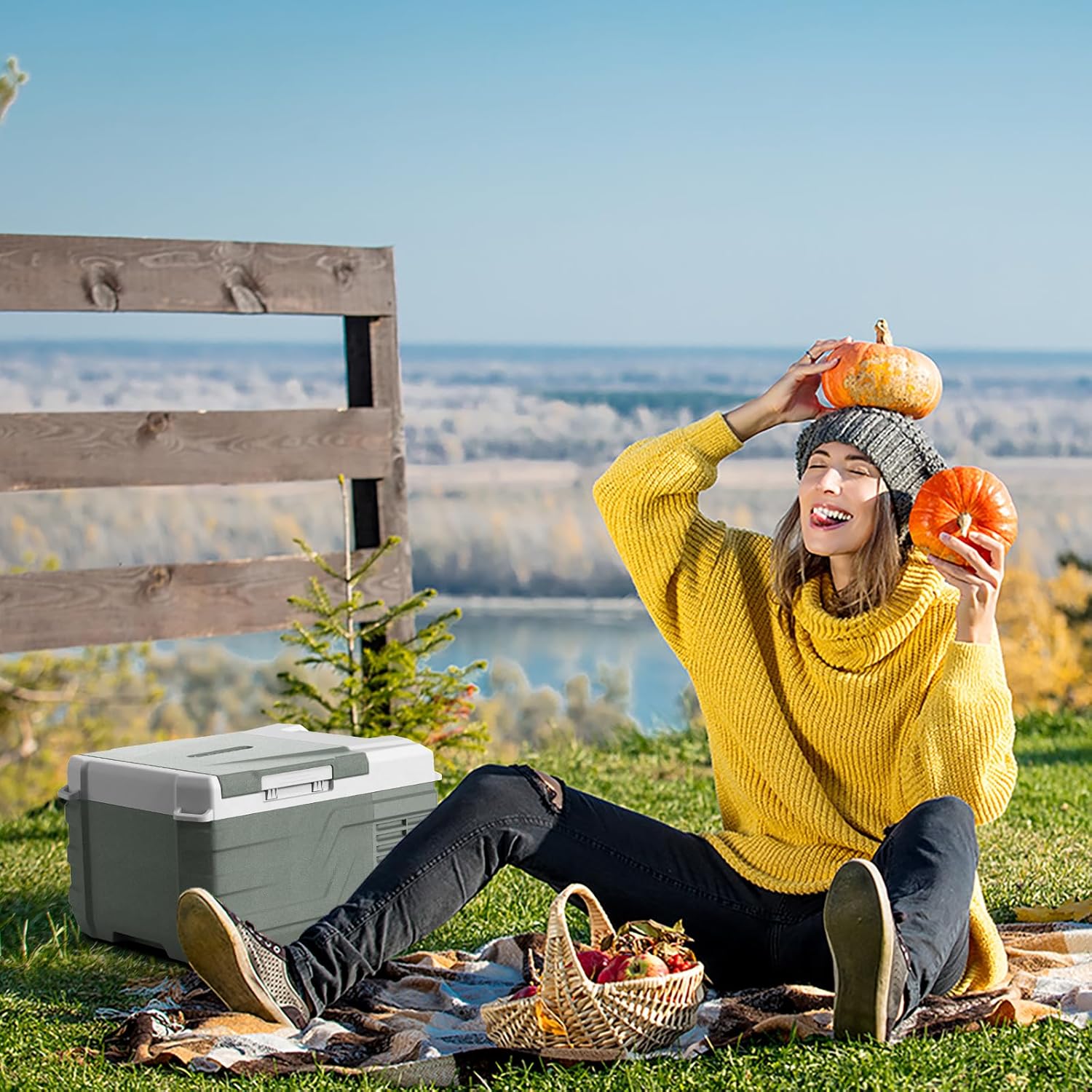 Alpicool NL9 Car Mini Fridge 9L 12V Car Refrigerator (-20℃-20℃) Portable Fridge Freezer 12V/24V DC 100~240 Volt AC Electric Cooler Box for Camping RV Road Trip Picnic Truck Camper [Energy Class C]