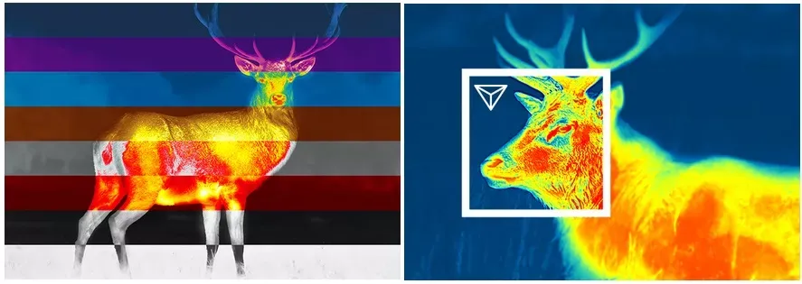 Lornetki termowizyjine ZElSS Merger LRF XL50